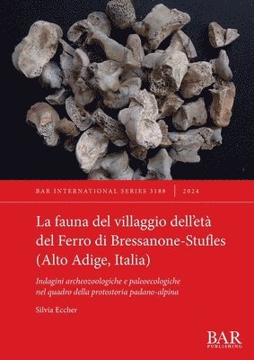 bokomslag La fauna del villaggio dell'et del Ferro di Bressanone-Stufles (Alto Adige, Italia)