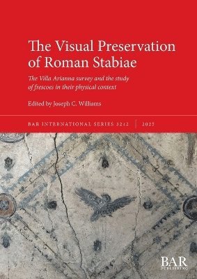 bokomslag Visual Preservation of Roman Stabiae