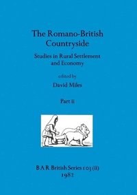 bokomslag The Romano-British Countryside, Part ii