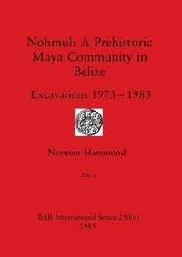 bokomslag Nohmul-A Prehistoric Maya Community in Belize, Part ii