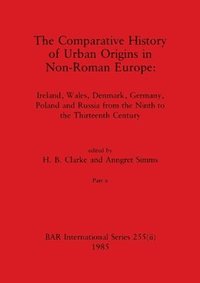 bokomslag The Comparative History of Urban Origins in Non-Roman Europe, Part ii