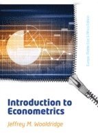 bokomslag Introduction to Econometrics