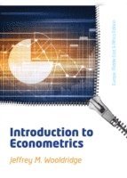 bokomslag Introductory Econometrics