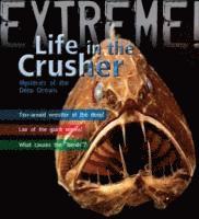 Trevor Day - Extreme Science: Life in the Crusher, Häftad