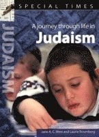 bokomslag Special Times: Judaism