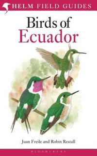 bokomslag Birds of Ecuador