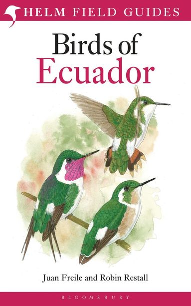 bokomslag Field Guide to the Birds of Ecuador