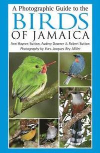 bokomslag A Photographic Guide to the Birds of Jamaica