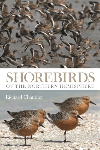 Richard Chandler - Shorebirds of the Northern Hemisphere, Häftad