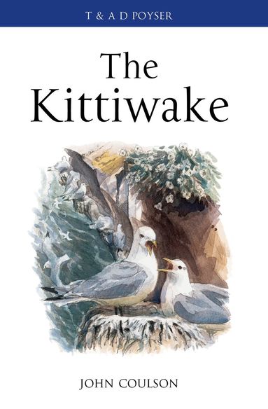 John Coulson - Kittiwake, Inbunden
