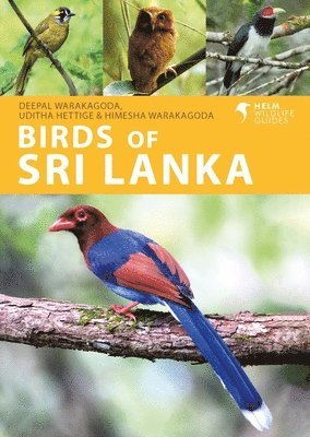 bokomslag Birds of Sri Lanka