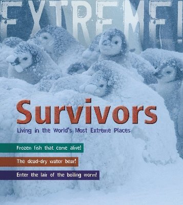 Survivors 1