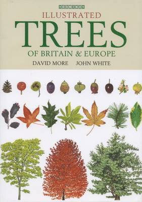 bokomslag Illustrated Trees of Britain and Northern Europe