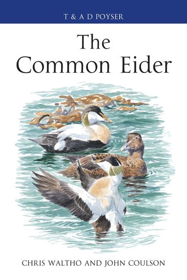 Chris Waltho, John Coulson - Common Eider, Inbunden