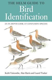 bokomslag The Helm Guide to Bird Identification