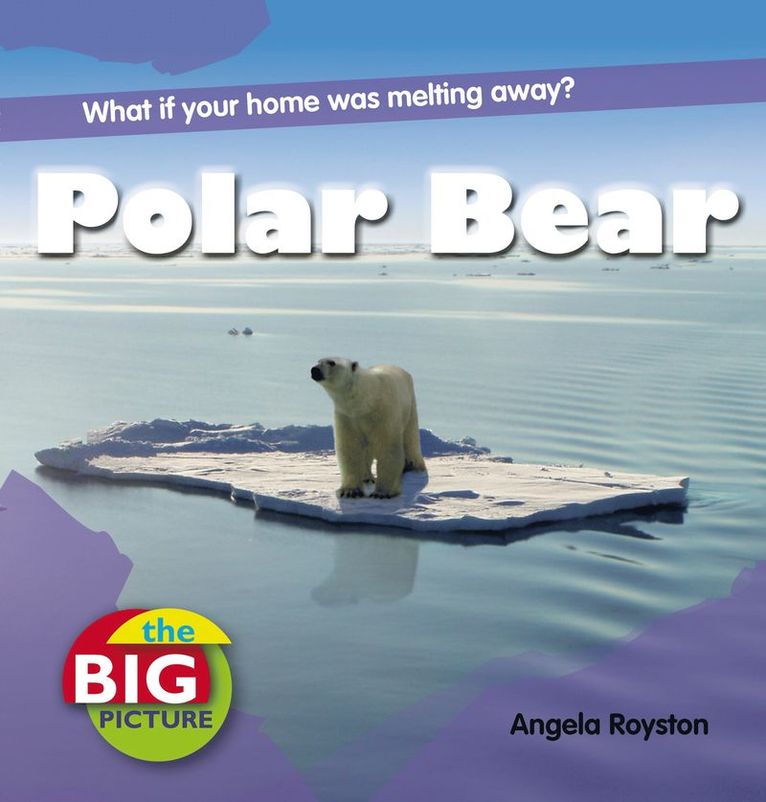 Polar Bear 1