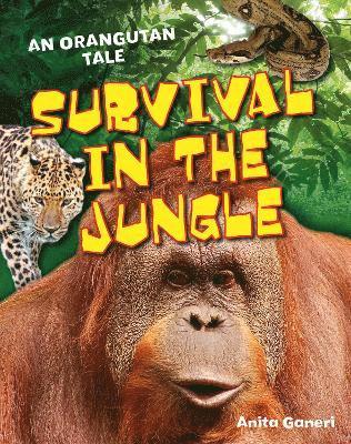 bokomslag Survival in the Jungle