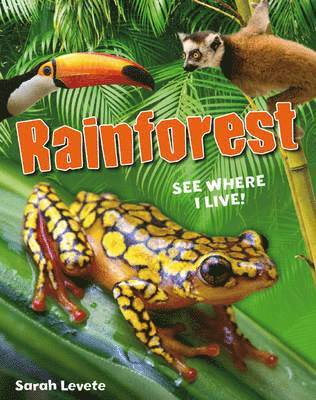 Rainforest See Where I Live! 1