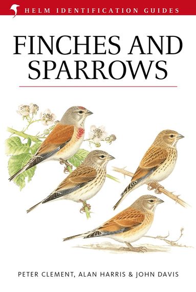 Peter Clement - Finches and Sparrows, Inbunden