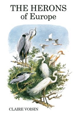 bokomslag The Herons of Europe