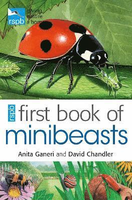 bokomslag RSPB First Book Of Minibeasts