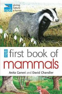 bokomslag RSPB First Book Of Mammals
