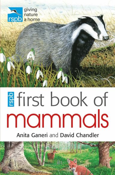 bokomslag RSPB First Book Of Mammals