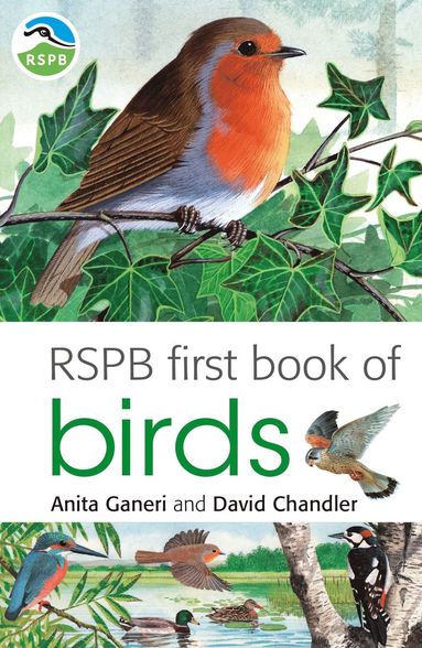 bokomslag RSPB First Book Of Birds