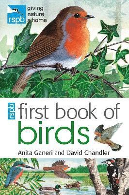 RSPB First Book Of Birds 1