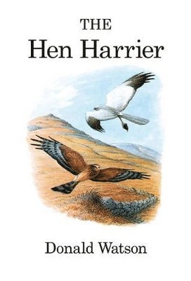 bokomslag The Hen Harrier