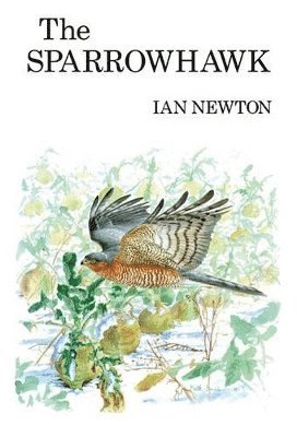 bokomslag The Sparrowhawk