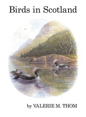 bokomslag Birds in Scotland