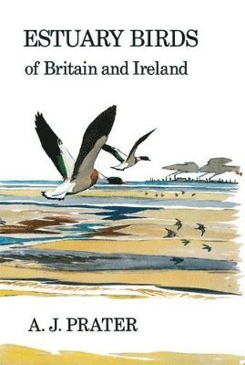 bokomslag Estuary Birds of Britain and Ireland