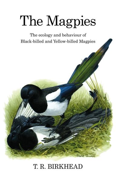 Tim Birkhead - Magpies: The Ecology and Behaviour of Black-Billed and Yellow-Billed Magpies, Inbunden