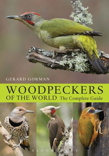 Gerard Gorman - Woodpeckers of the World, Inbunden