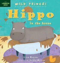 bokomslag Hippo