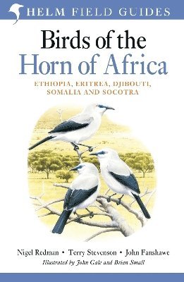 bokomslag Birds of the Horn of Africa