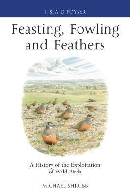 Feasting, Fowling and Feathers 1