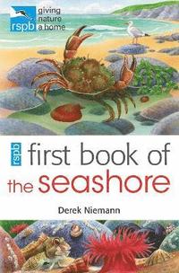 bokomslag RSPB First Book Of The Seashore