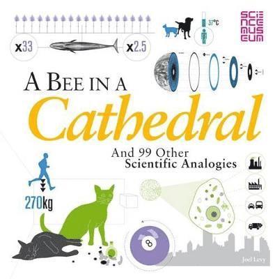 A Bee in a Cathedral 1