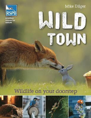 Wild Town 1