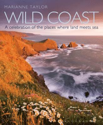 Marianne Taylor - Wild Coast: An Exploration of the Places Where Land Meets Sea, Inbunden
