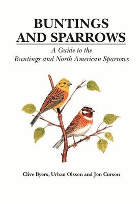 bokomslag Buntings and Sparrows