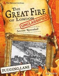 bokomslag The National Archives: The Great Fire of London Unclassified