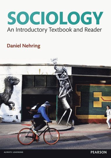 Daniel Nehring, Ken Plummer - Sociology, Häftad