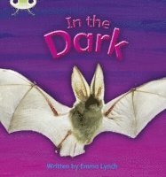 bokomslag Bug Club Phonics - Phase 3 Unit 10: In the Dark
