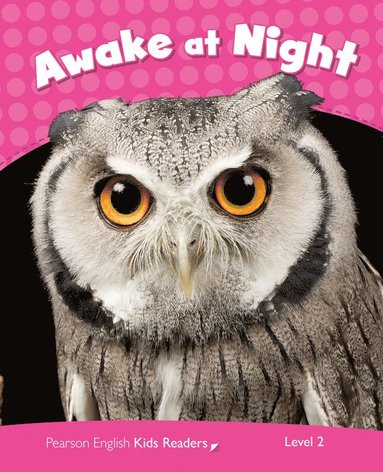 bokomslag Level 2: Awake at Night CLIL