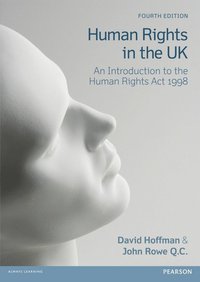 bokomslag Human Rights in the UK