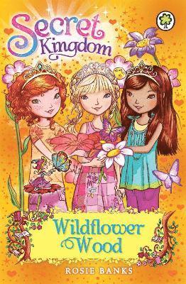 bokomslag Secret Kingdom: Wildflower Wood