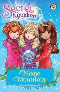 bokomslag Secret Kingdom: Magic Mountain